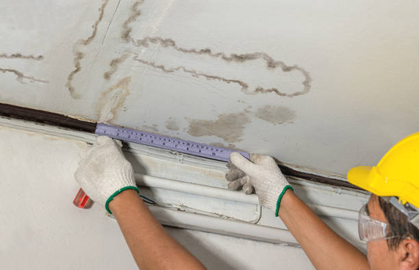 Reliable Structural Drying And Dehumidification contractor in Petersburg, MI by Aqua Guard Water Damage